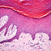 Diagnostic Center